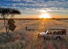 7-Day Budget-Friendly Etosha National Park Safari Experience