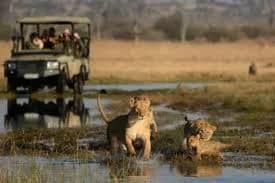Chobe National Park Family Adventure – 7-Day Experience