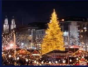 Festive Season