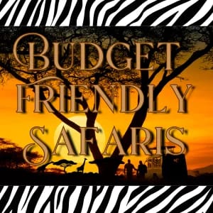 Budget-Friendly Safari's