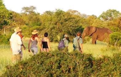 Kruger National Park