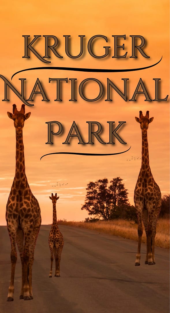 Kruger National Park