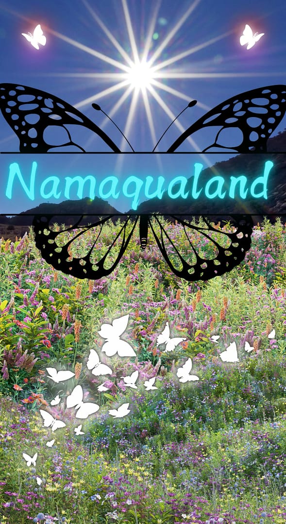 Namaqualand - Top SA Destination