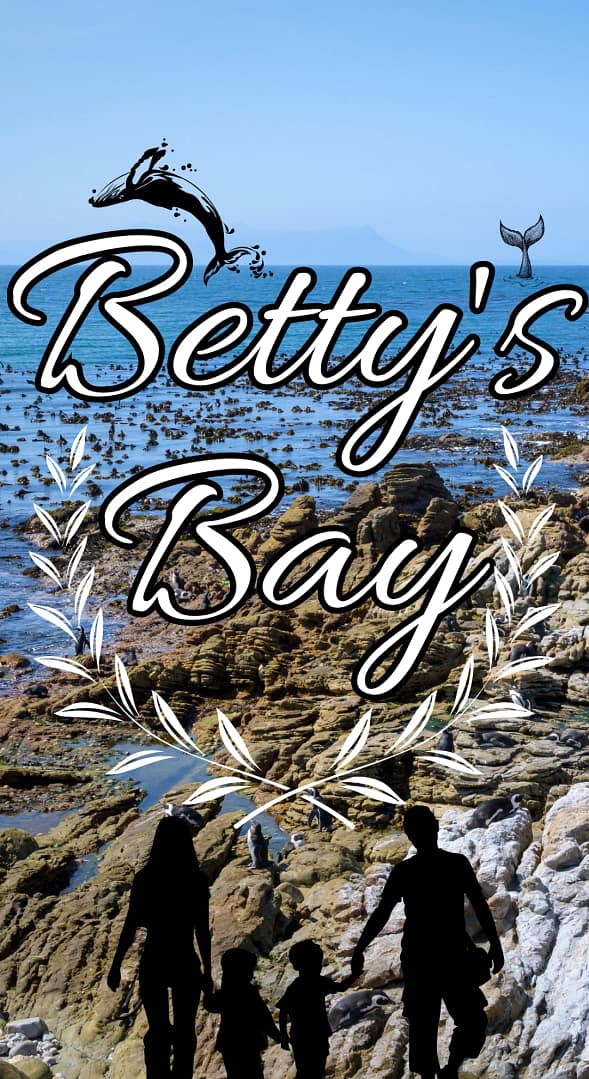 Betty's Bay, Gansbaai Coastal & Wildlife Adventure
