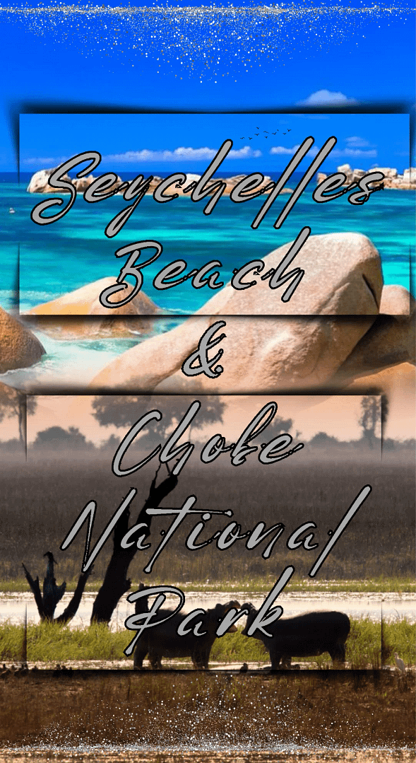 luxury safari and beach escape