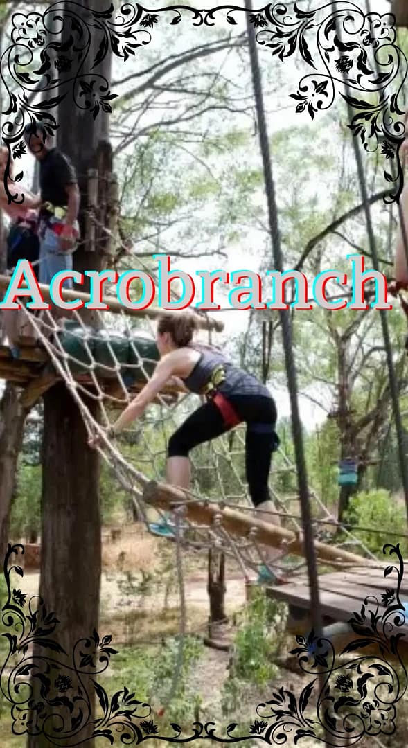 high flying & big zip