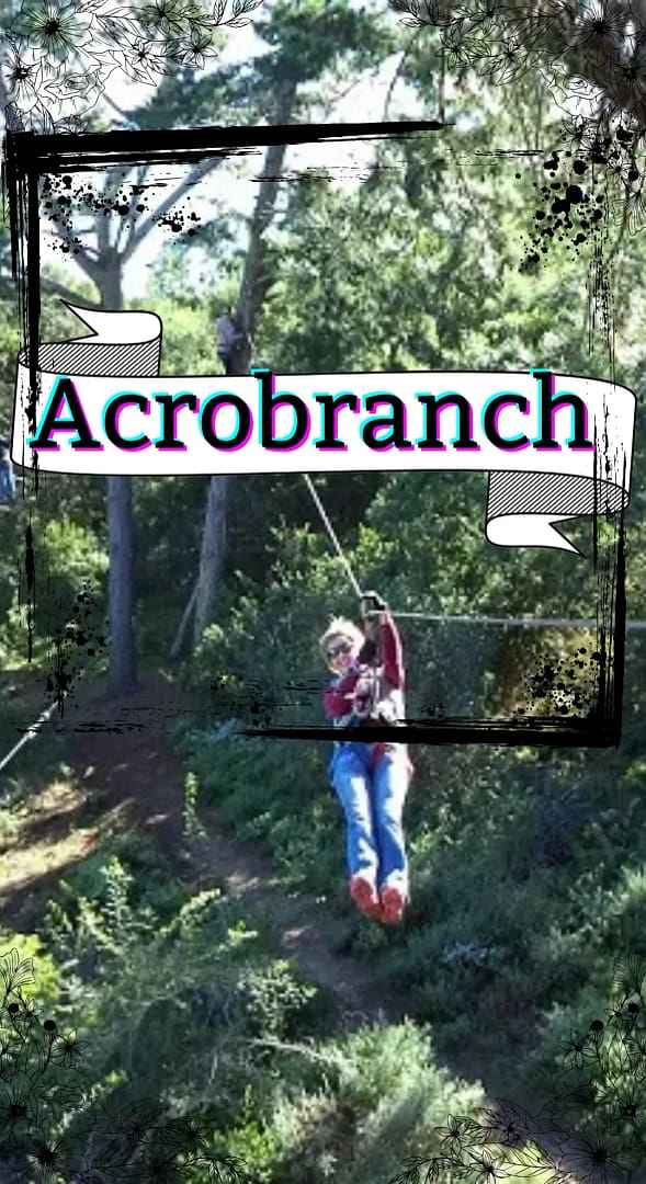 The Big Zip - AcroBranch