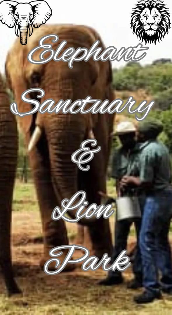 Wildlife Adventure