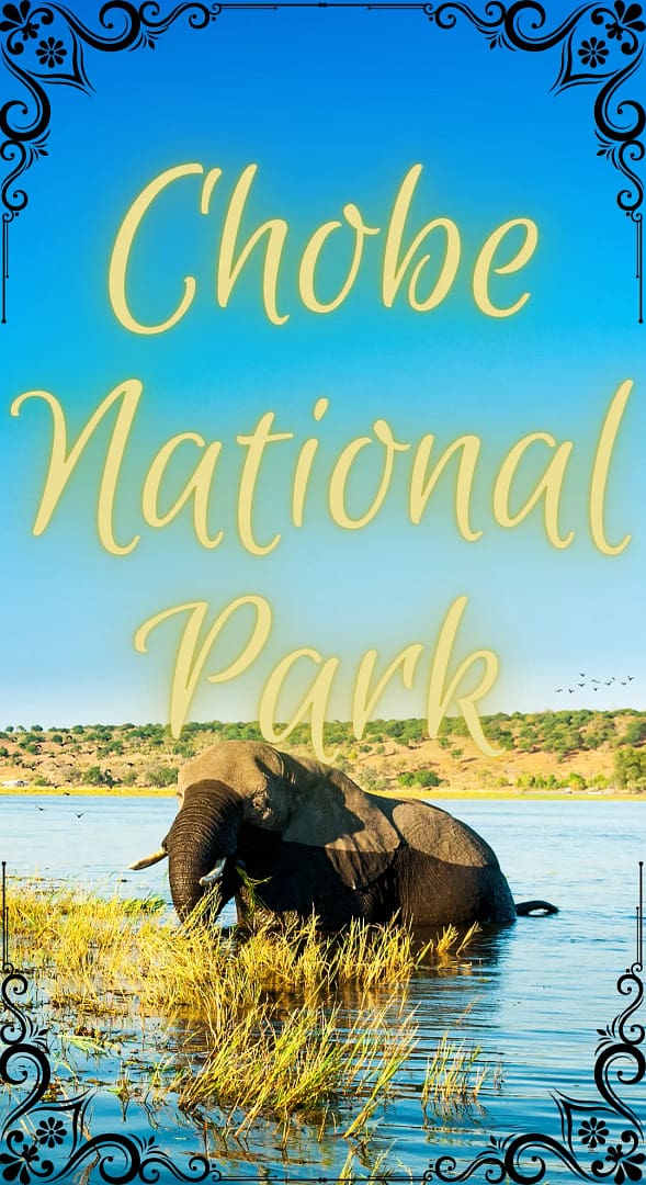 Chobe National Park Family Adventure