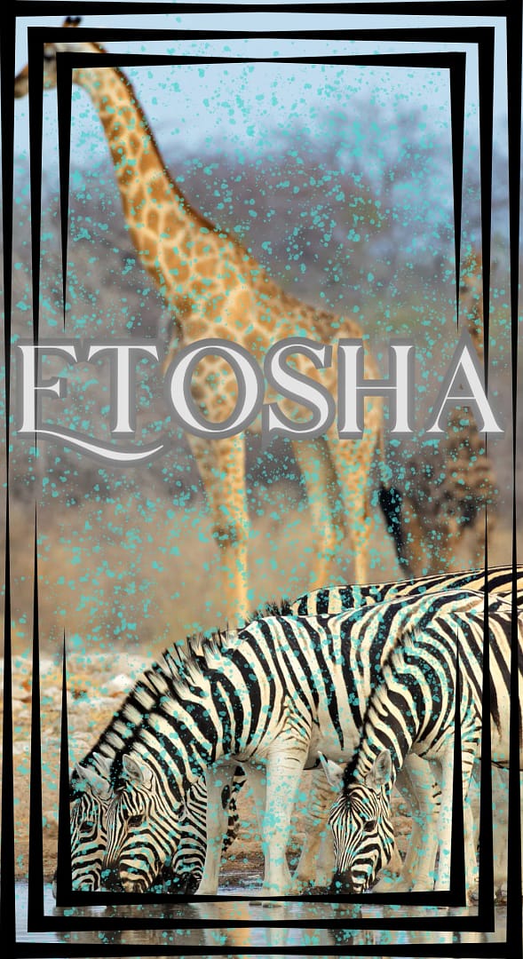 Etosha National Park
