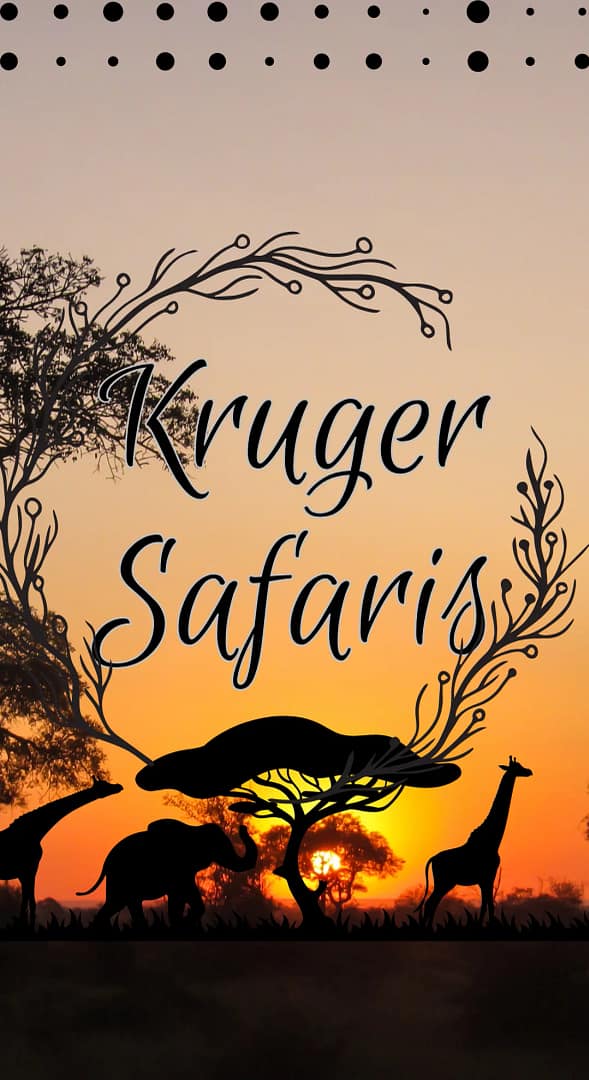 Budget-friendly safari in Kruger National Park