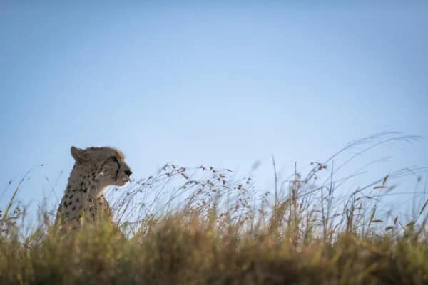 Kruger National Park