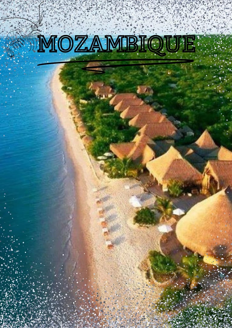 Mozambique Holiday Bliss