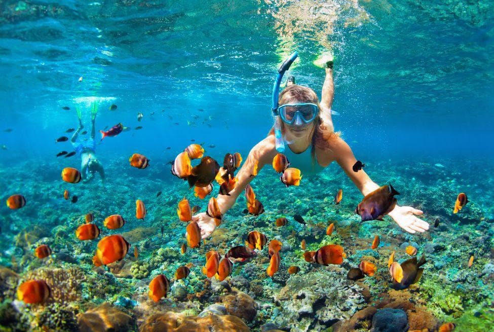port elizabeth holiday snorkelling